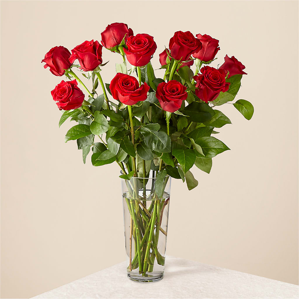 Long Stem Red Rose Bouquet – Chillicothe High Street Flower Shop, Chillicothe OH
