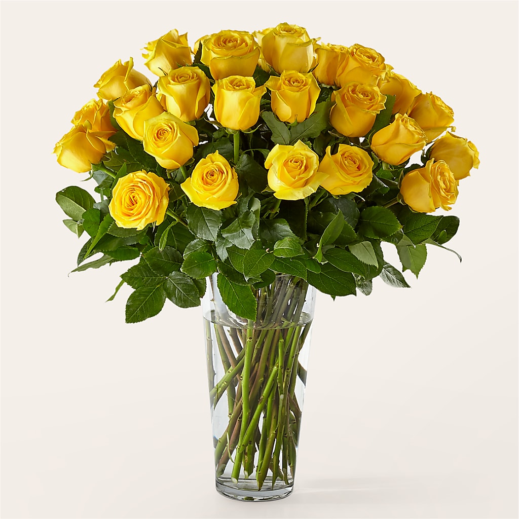 Long Stem Yellow Rose Bouquet – Chillicothe High Street Flower Shop, Chillicothe OH