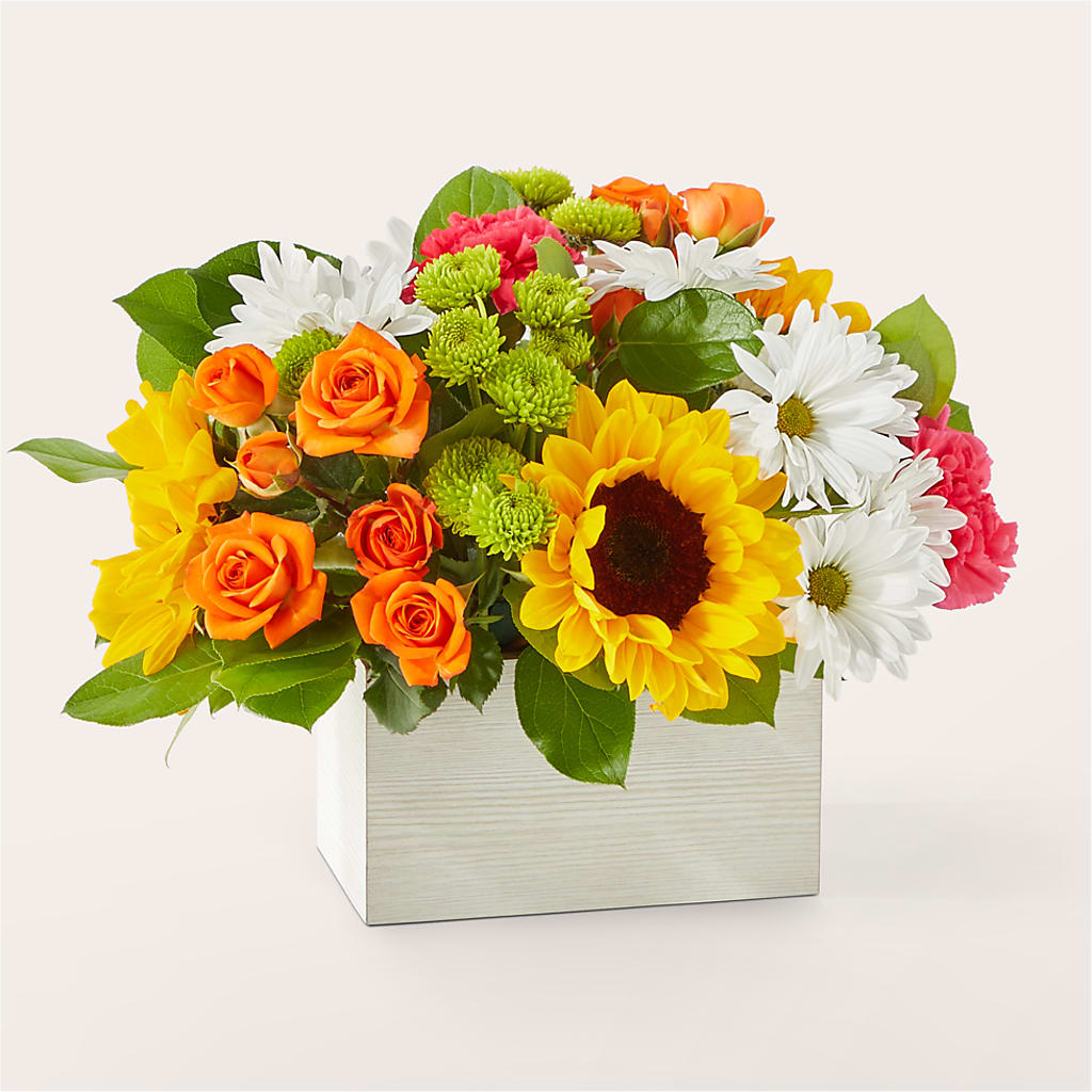 Sun-drenched Blooms Box Bouquet – Chillicothe High Street Flower Shop, Chillicothe OH