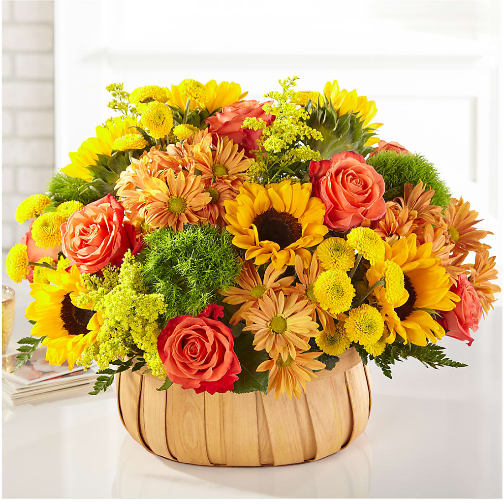 Harvest Sunflower Basket – Chillicothe High Street Flower Shop, Chillicothe OH