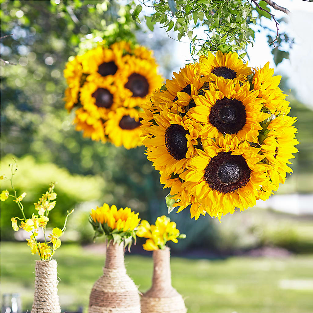 Sublime Garden Hanging Arrangement – Chillicothe High Street Flower Shop, Chillicothe OH