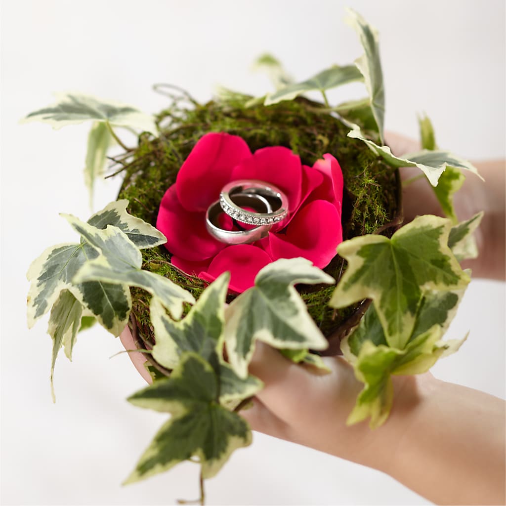 Lila Rose Ring Nest – Chillicothe High Street Flower Shop, Chillicothe OH