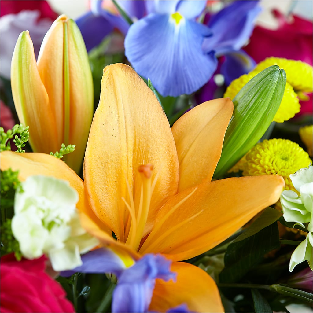 Bold & Bright – A Florist Original –  Chillicothe High Street Flower Shop, Chillicothe OH