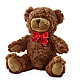 Adorable Plush Bear –  Chillicothe High Street Flower Shop, Chillicothe OH