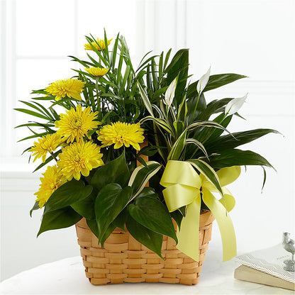 Loving Light Dishgarden –  Chillicothe High Street Flower Shop, Chillicothe OH