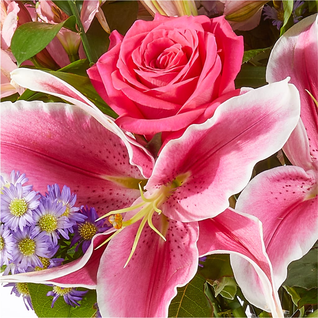 Written in the Stars Bouquet –  Chillicothe High Street Flower Shop, Chillicothe OH