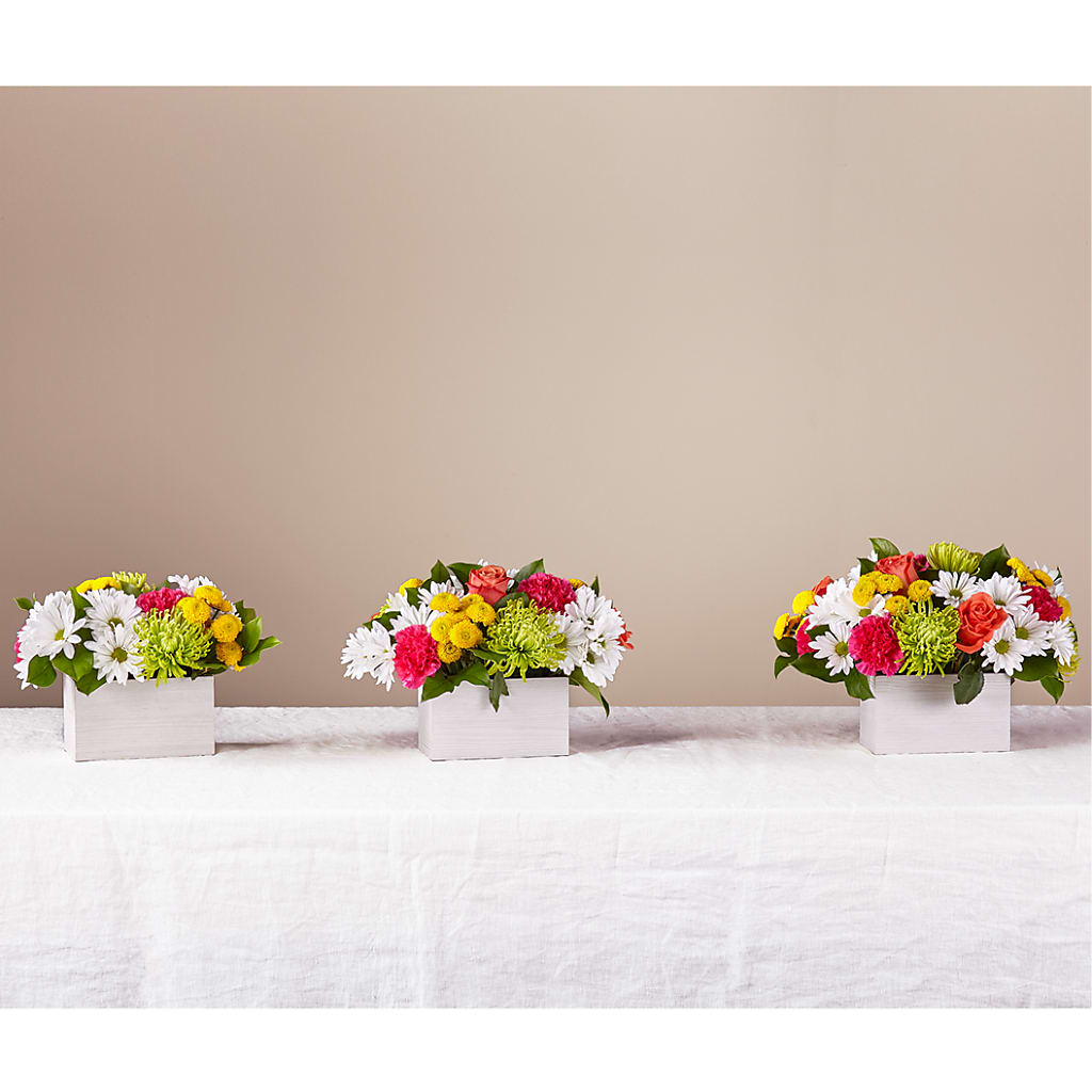 Sorbet Bouquet –  Chillicothe High Street Flower Shop, Chillicothe OH