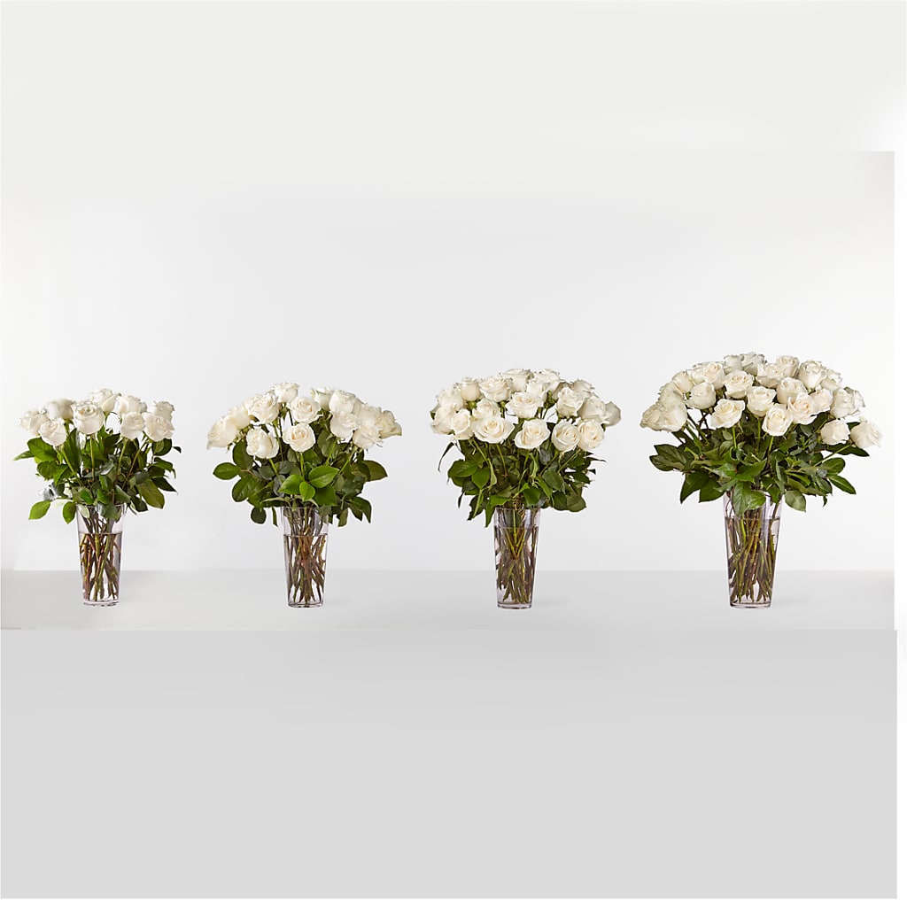 Long Stem White Rose Bouquet –  Chillicothe High Street Flower Shop, Chillicothe OH