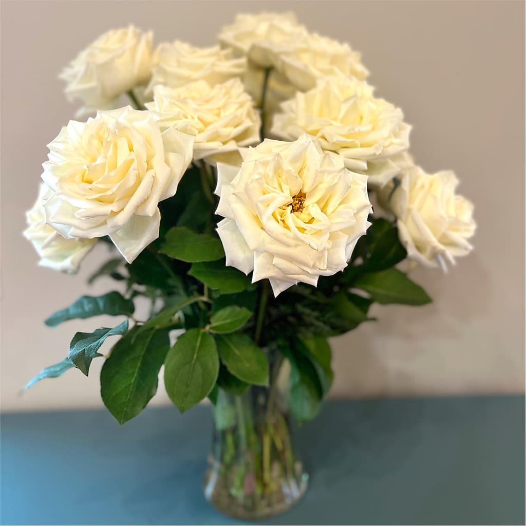 Long Stem Yellow Rose Bouquet –  Chillicothe High Street Flower Shop, Chillicothe OH