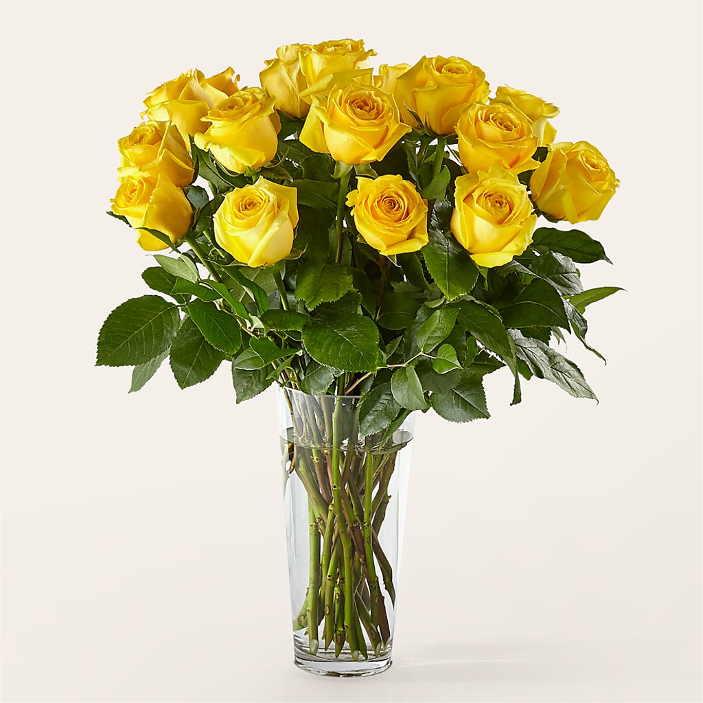 Long Stem Yellow Rose Bouquet –  Chillicothe High Street Flower Shop, Chillicothe OH