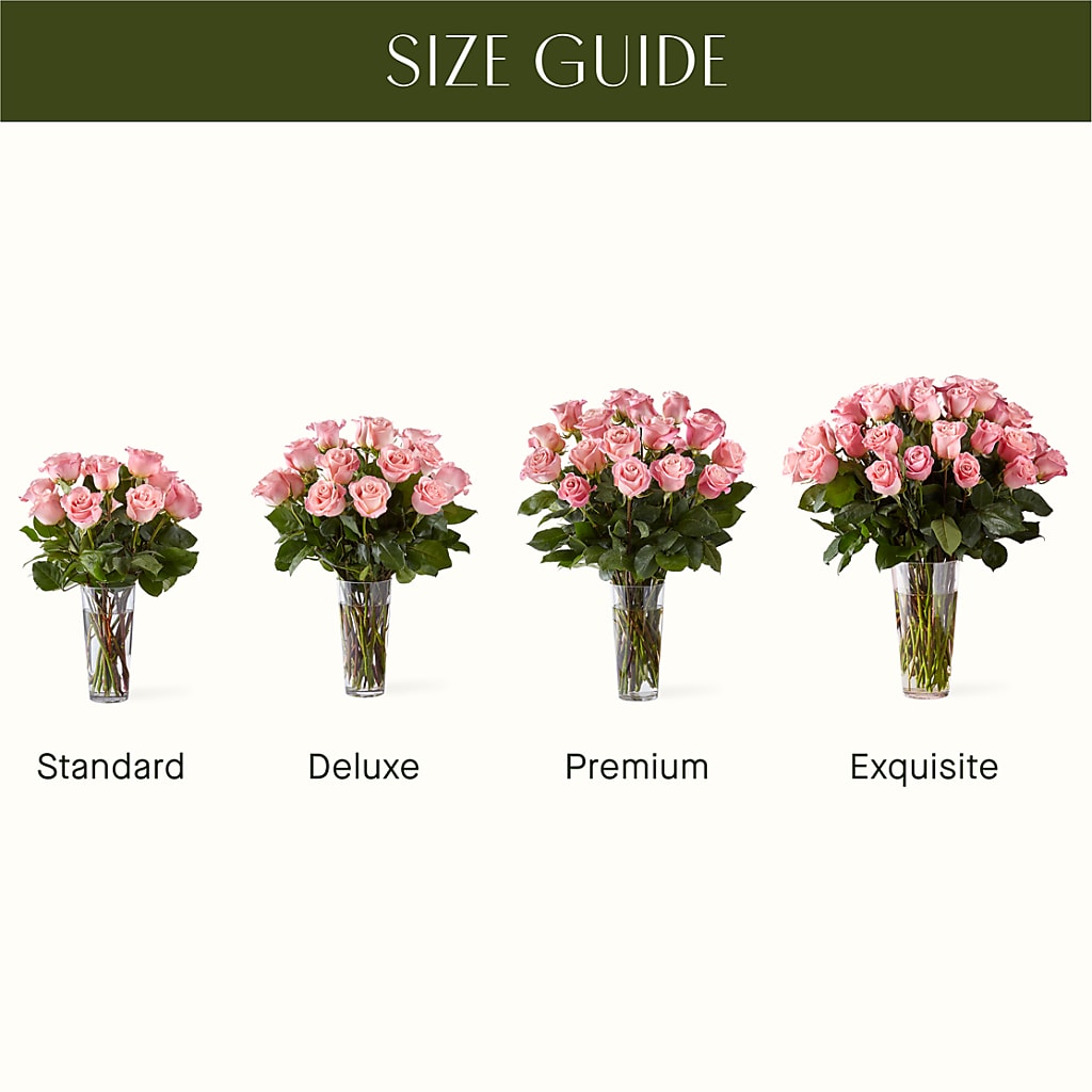 Long Stem Pink Rose Bouquet –  Chillicothe High Street Flower Shop, Chillicothe OH