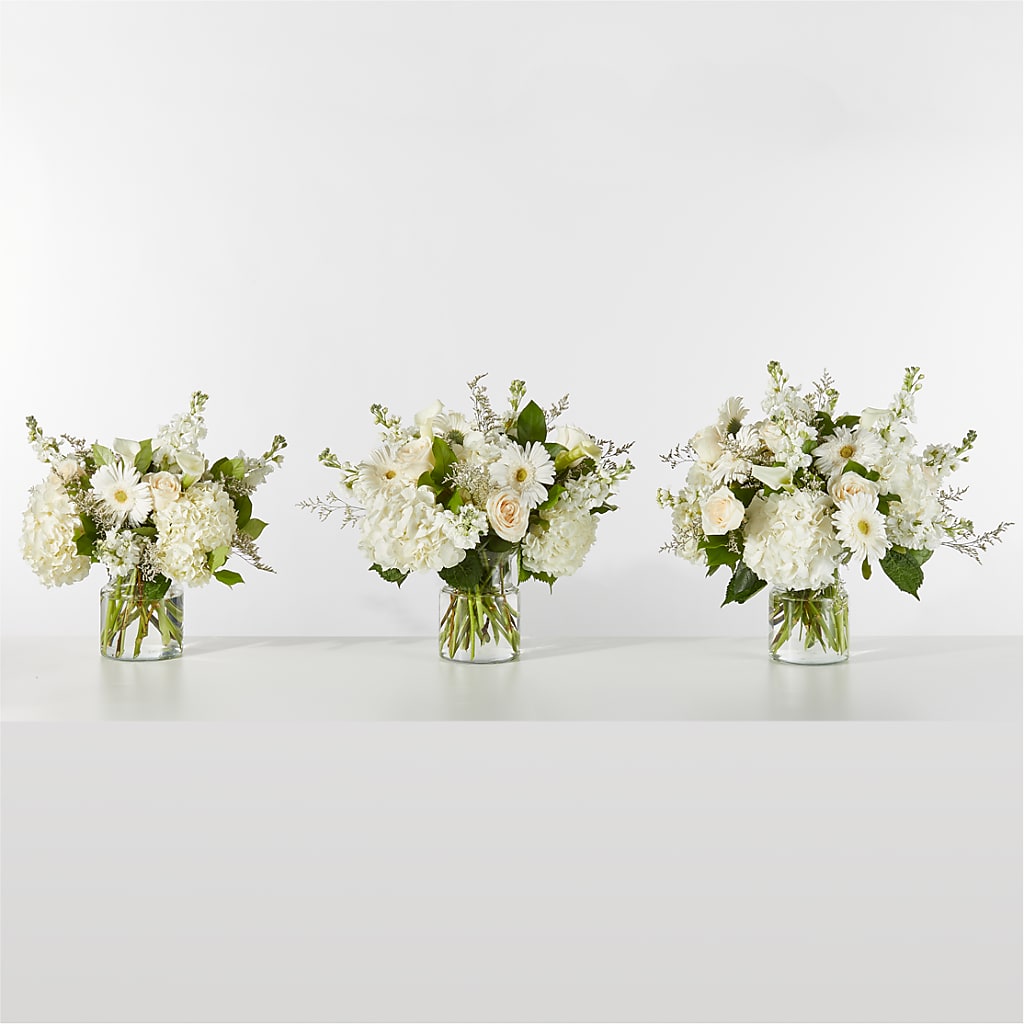 Sun-drenched Blooms Box Bouquet –  Chillicothe High Street Flower Shop, Chillicothe OH