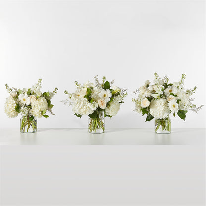 Sun-drenched Blooms Box Bouquet –  Chillicothe High Street Flower Shop, Chillicothe OH