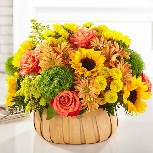 Harvest Sunflower Basket –  Chillicothe High Street Flower Shop, Chillicothe OH