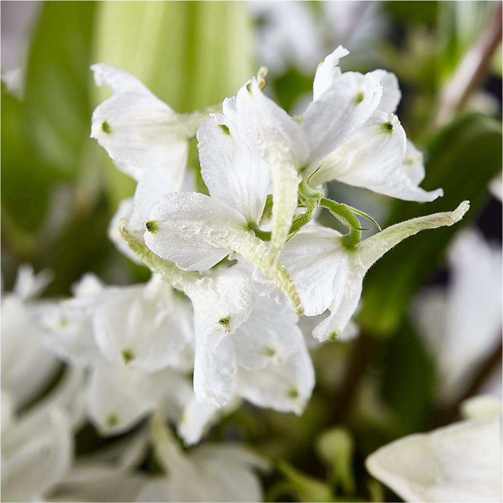 Classic Ivory – A Florist Original –  Chillicothe High Street Flower Shop, Chillicothe OH