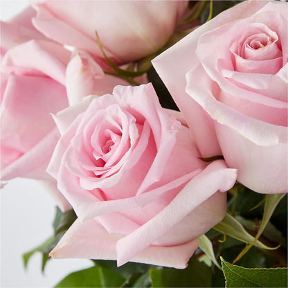 Picture Perfect Pink Rose Bouquet –  Chillicothe High Street Flower Shop, Chillicothe OH