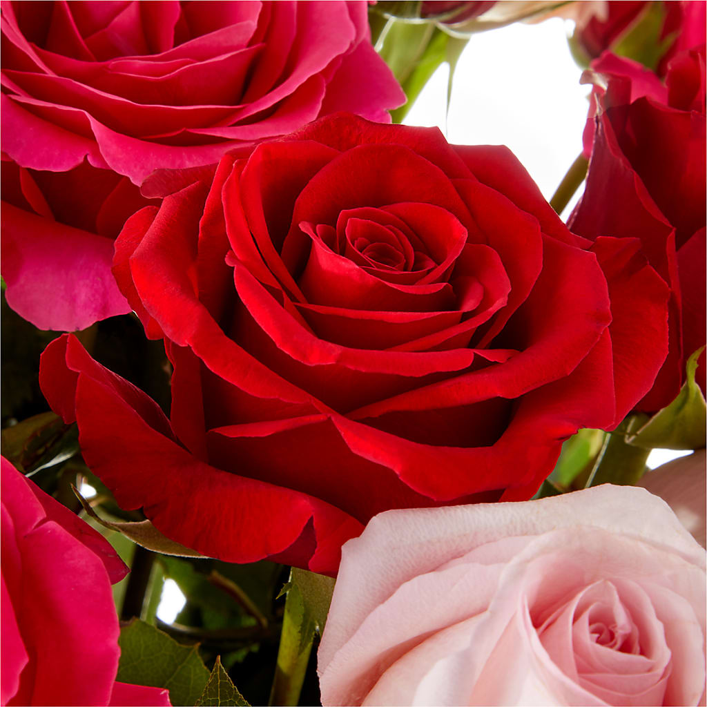 Love Notes Rose Bouquet –  Chillicothe High Street Flower Shop, Chillicothe OH