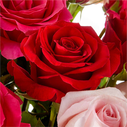 Love Notes Rose Bouquet –  Chillicothe High Street Flower Shop, Chillicothe OH