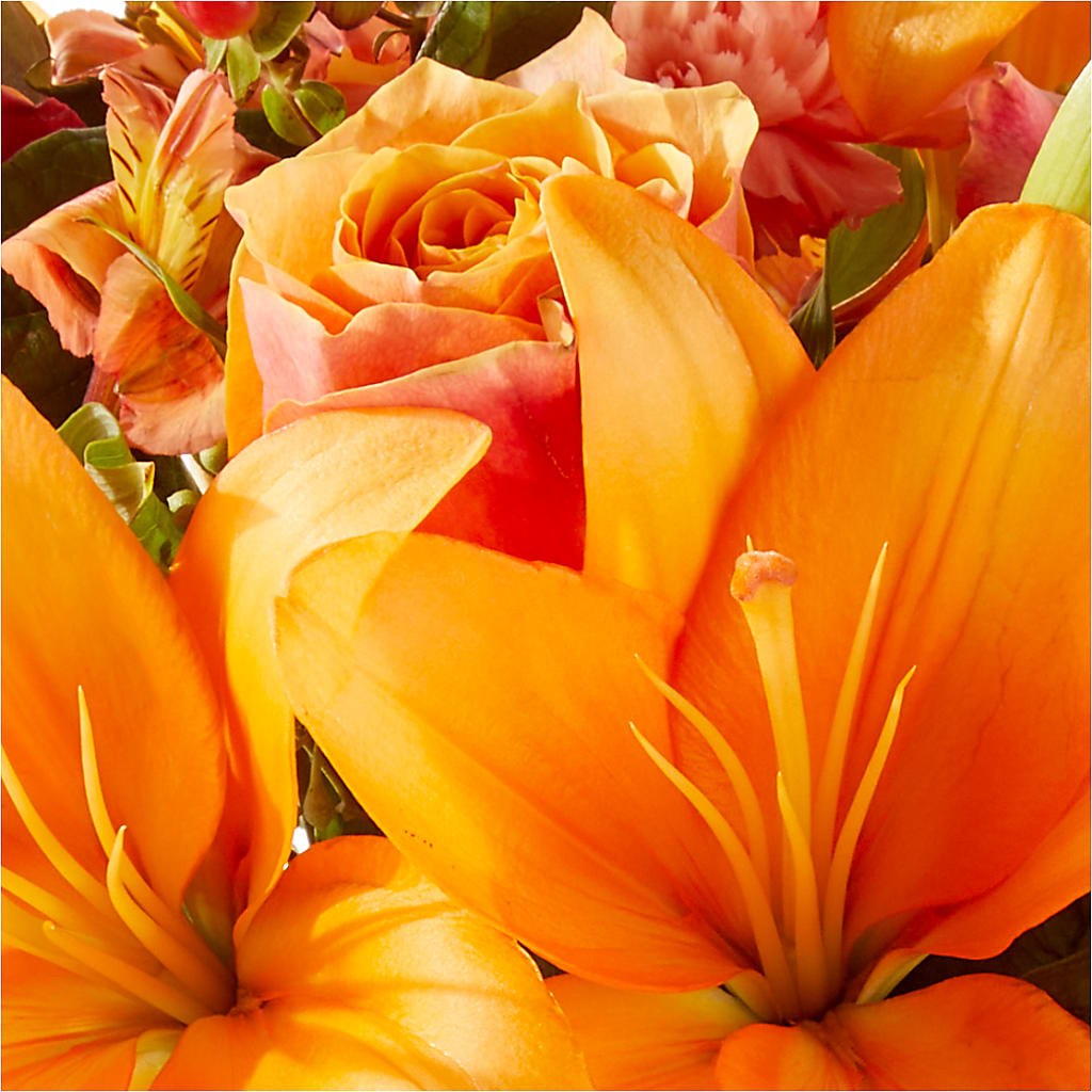 Afternoon Light Bouquet –  Chillicothe High Street Flower Shop, Chillicothe OH
