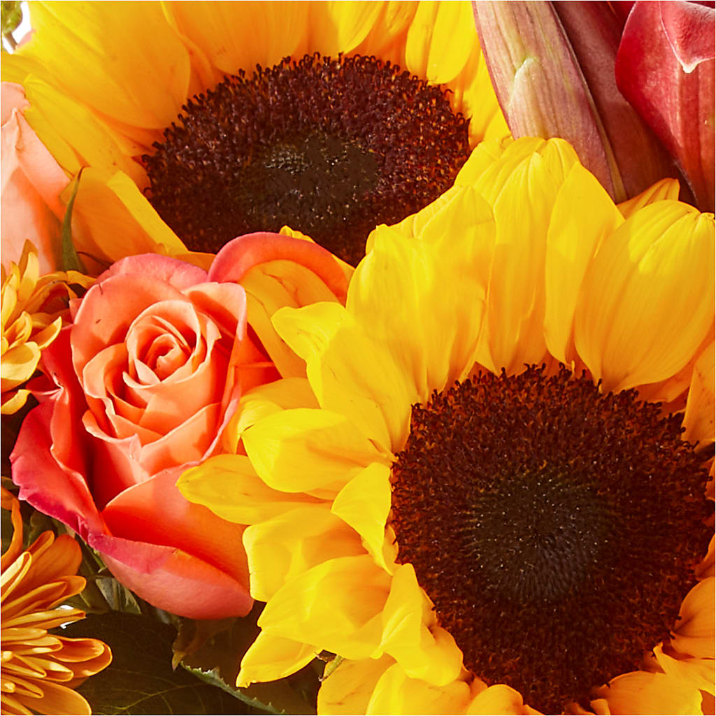 Acorn Lane Bouquet –  Chillicothe High Street Flower Shop, Chillicothe OH
